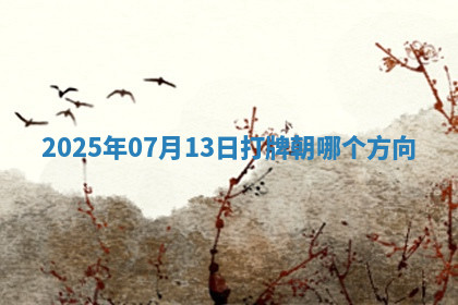 2025年07月13日打牌朝哪个方向 2025年07月13日打牌朝哪个方向