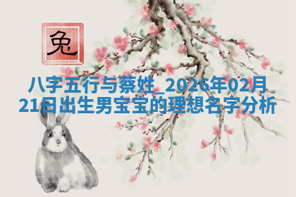 蔡姓男孩子取名