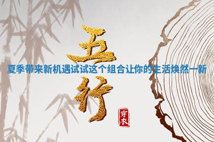 夏季带来新机遇试试这个组合让你的生活焕然一新