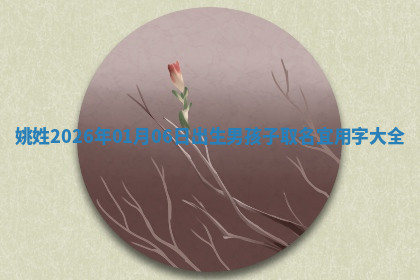 2026年04月12日出生秦姓男宝宝如何取名？好听有寓意的名字精选