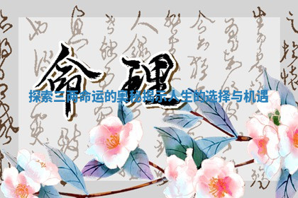 探索三两命运的奥秘揭示人生的选择与机遇