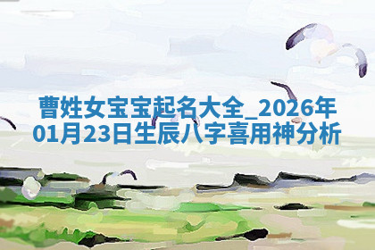 2026年04月12日出生秦姓男宝宝如何取名？好听有寓意的名字精选