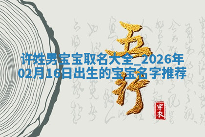 许姓男孩子取名