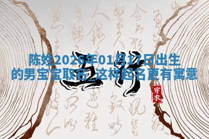 陈姓男孩子取名