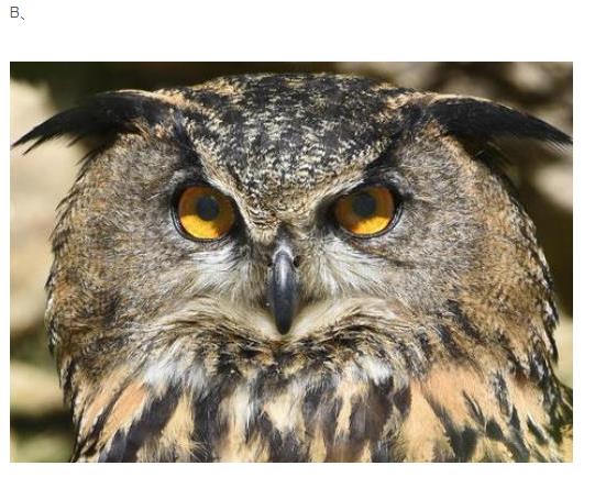 1577168753918503.jpg 2.jpg