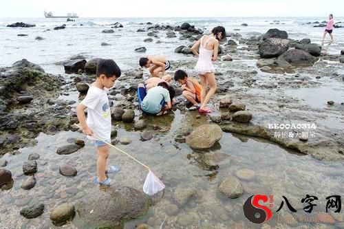 梦见和别人一起抓螃蟹