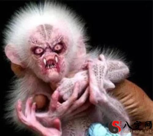 梦见水里有鬼魂