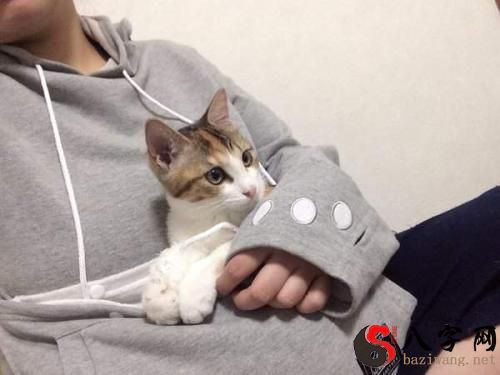 梦见冬天抱着暖炉